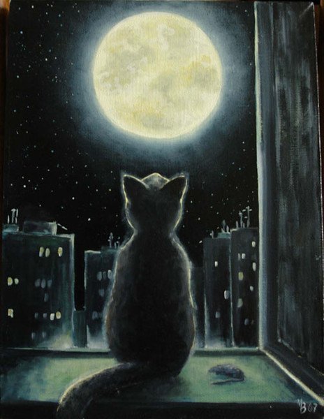Кот смотрит на луну