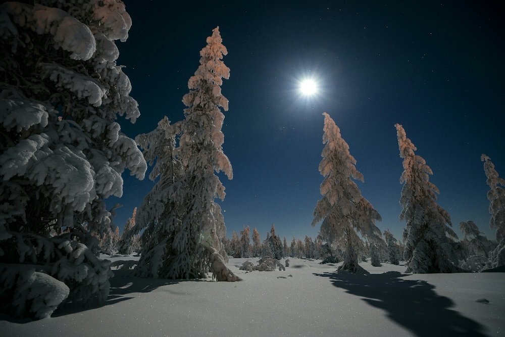 Луна зимой ночью. Зимний ночной пейзаж. Ночной зимний лес. Зимняя ночь. Зимний лес ночью.