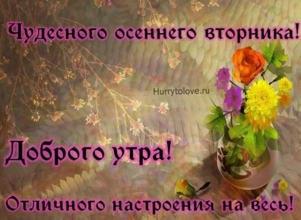 Доброе осеннее утро вторника