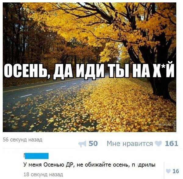 Осенние шутки и приколы