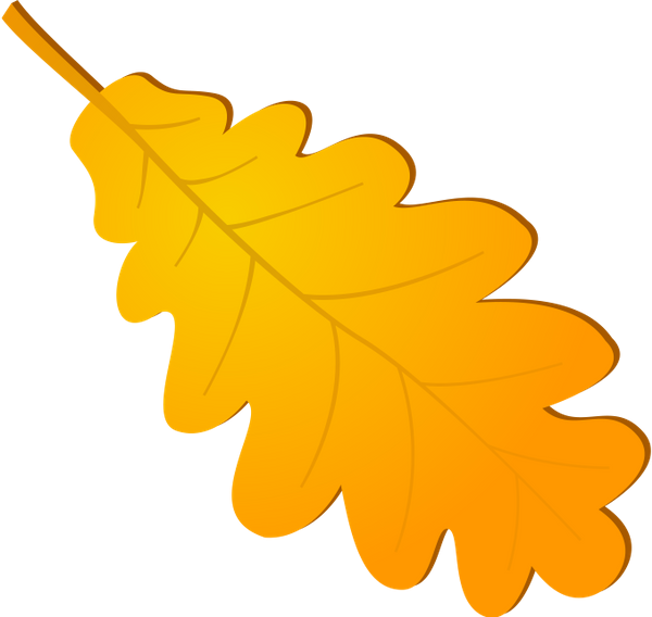 Лист дуба желтый