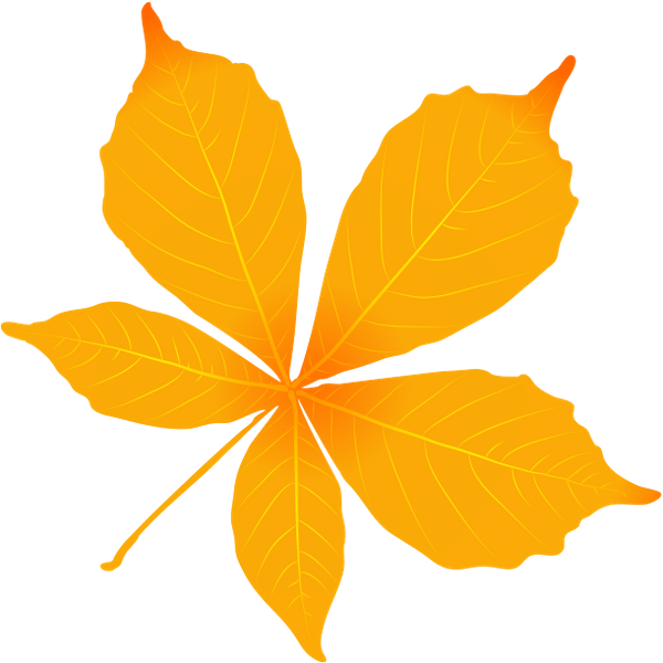 Листья каштана осенью