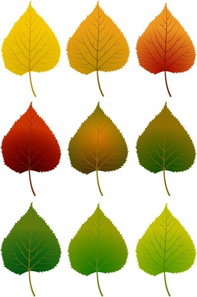 Цветной лист