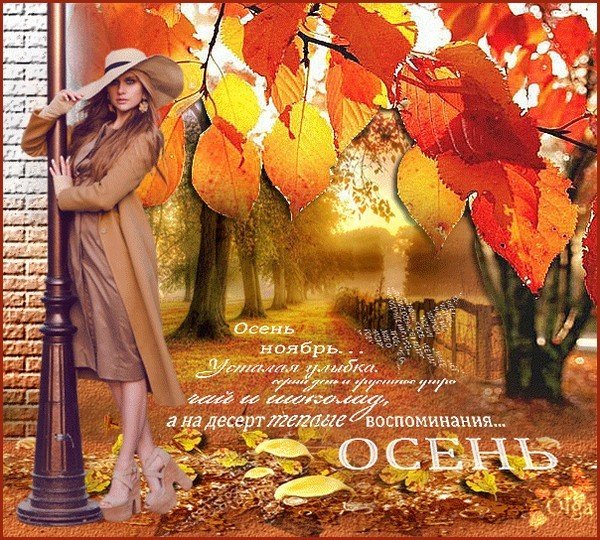 Открытки с осенним ноябрем