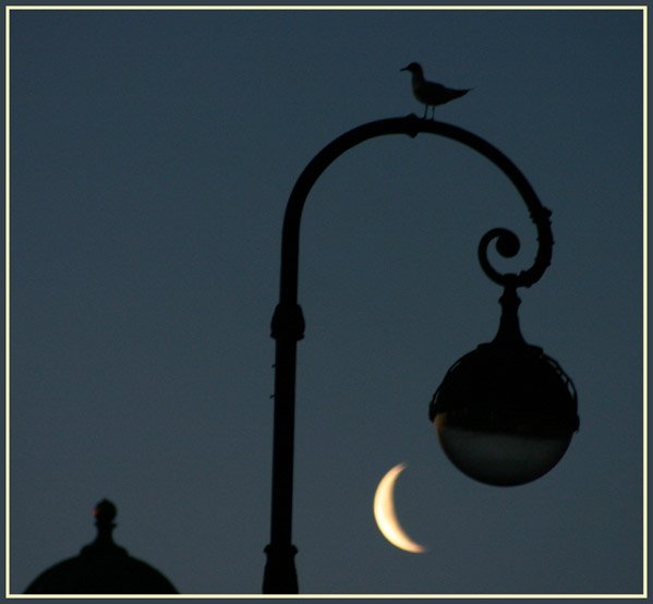 Ночь Луна фонарь