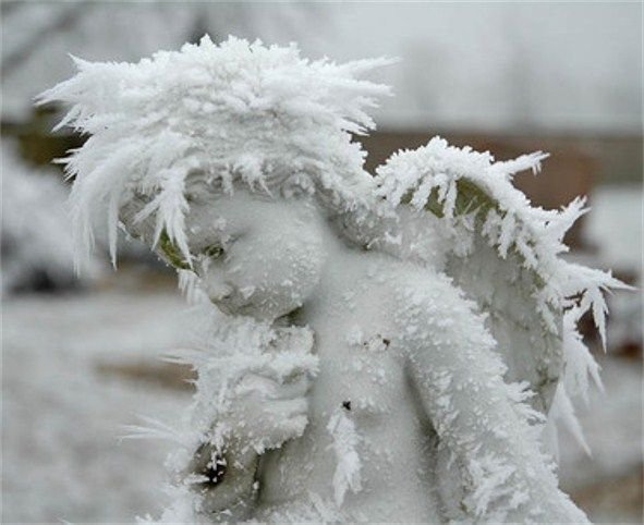 Снежный ангел на снегу