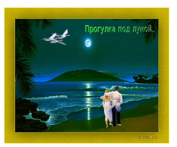 Прогулка под луной