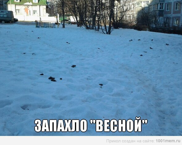 Шутки про снег весной
