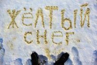 Желтый снег прикол