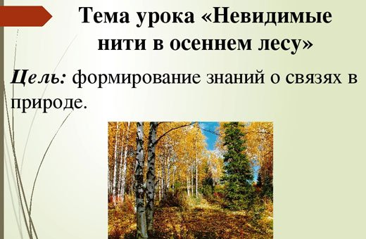Невидимые связи в осеннем лесу