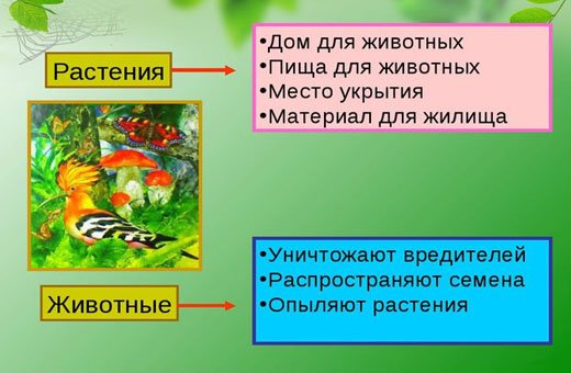 Невидимые нити в осеннем лесу