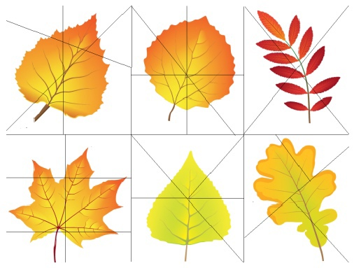 Осенние листья для дошкольников