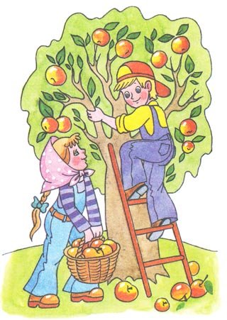 Рисование сбор урожая