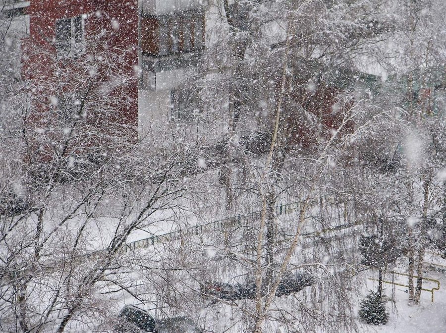 Толстого 1 снег. Снег за окном. Снегопад в окне. Вид из окна зимой. Снегопад за окном.