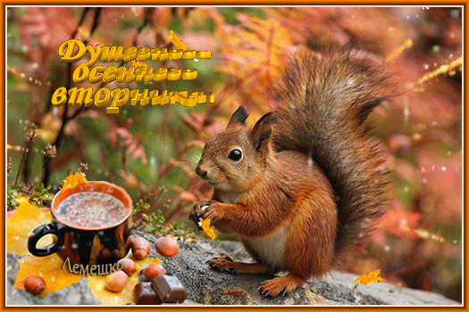 Доброго вторника осень