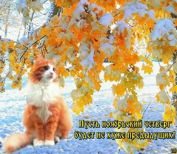 Хорошего настроения в ноябре
