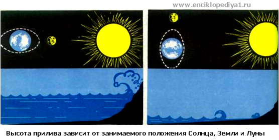 Определить время прилива и отлива какой метод