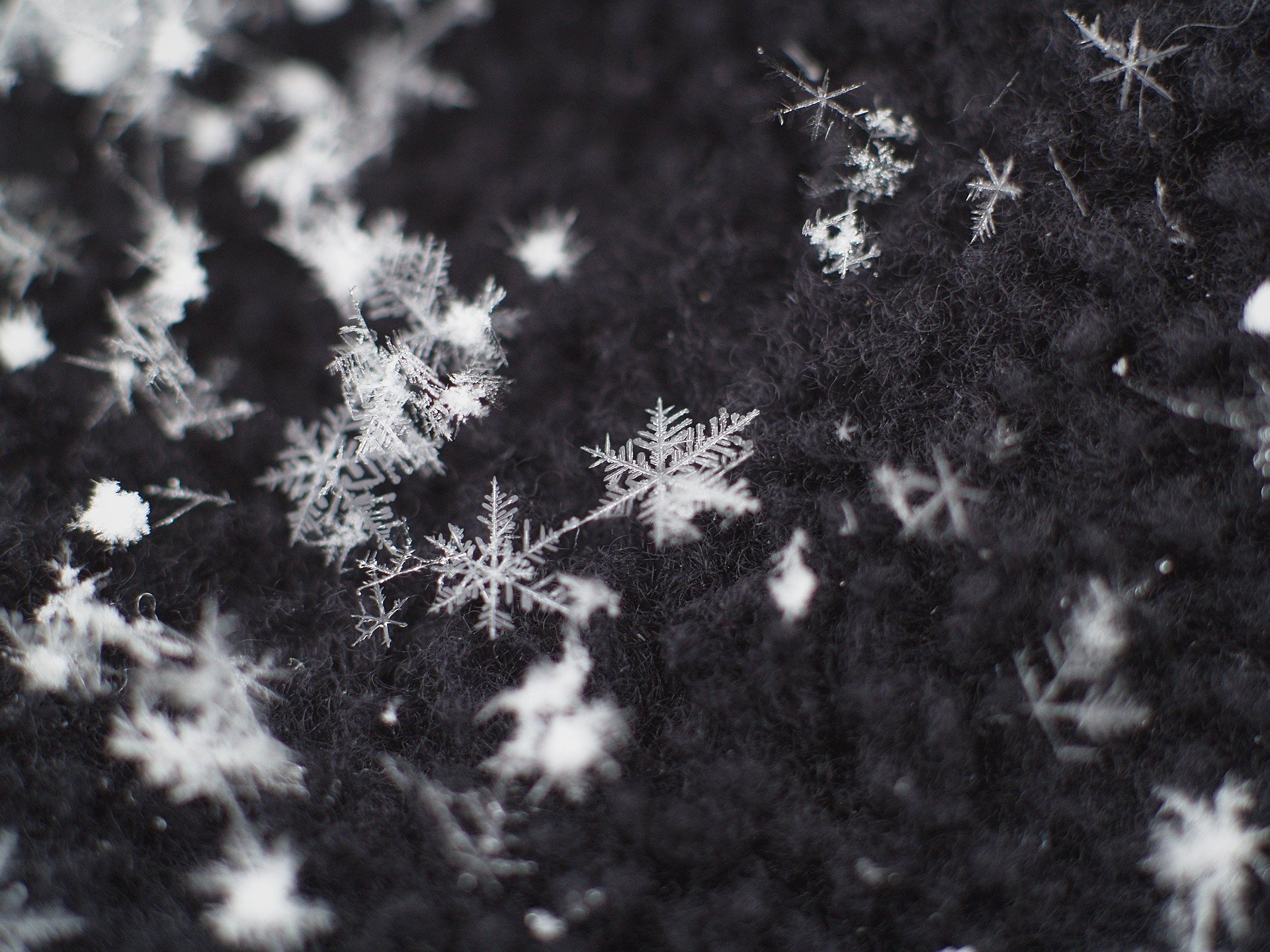 Черные снежки. Снег снежинки. Снег текстура. Снежинки на черном фоне. Текстура падающего снега.