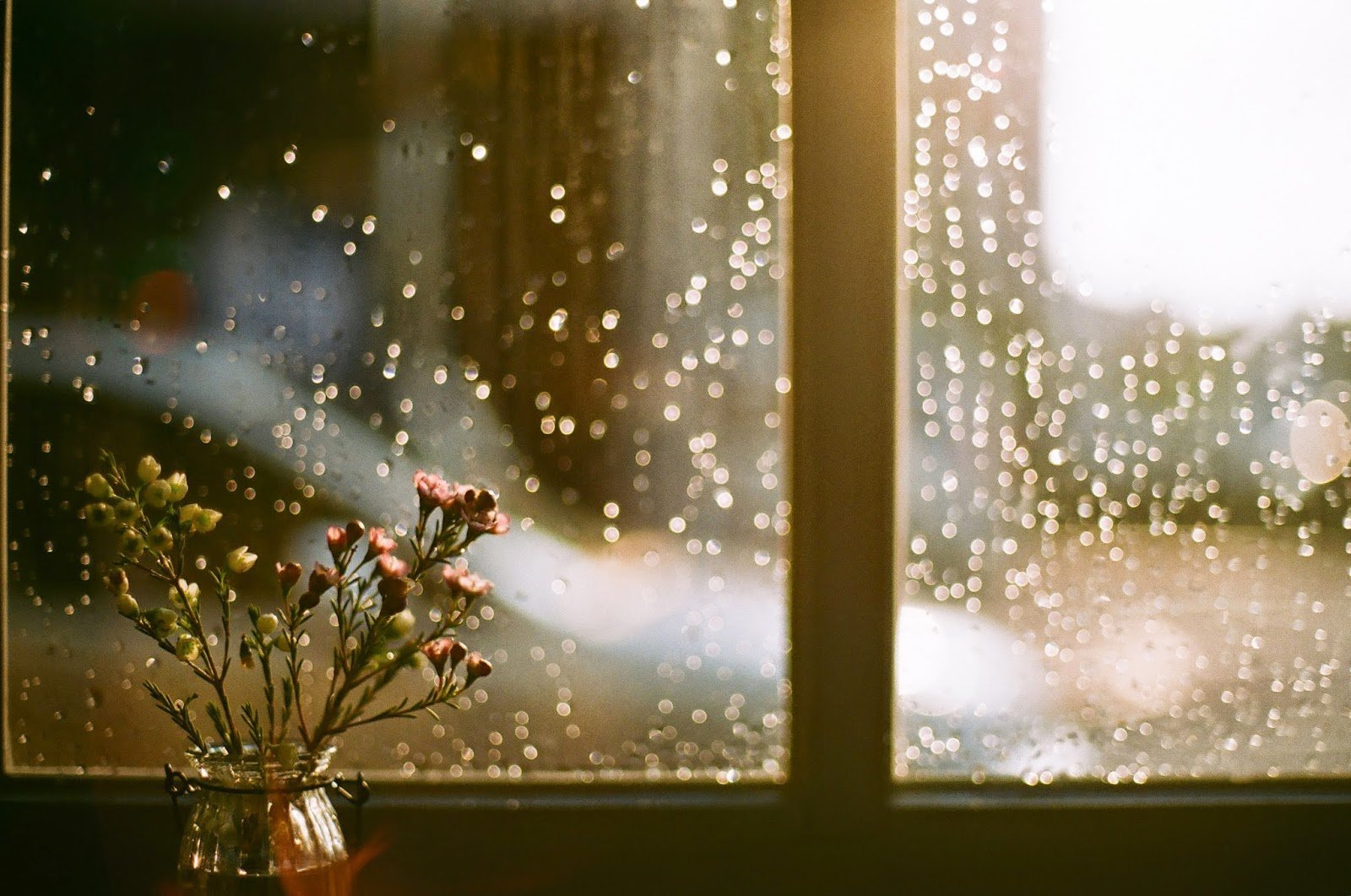 фото дождя за окном
