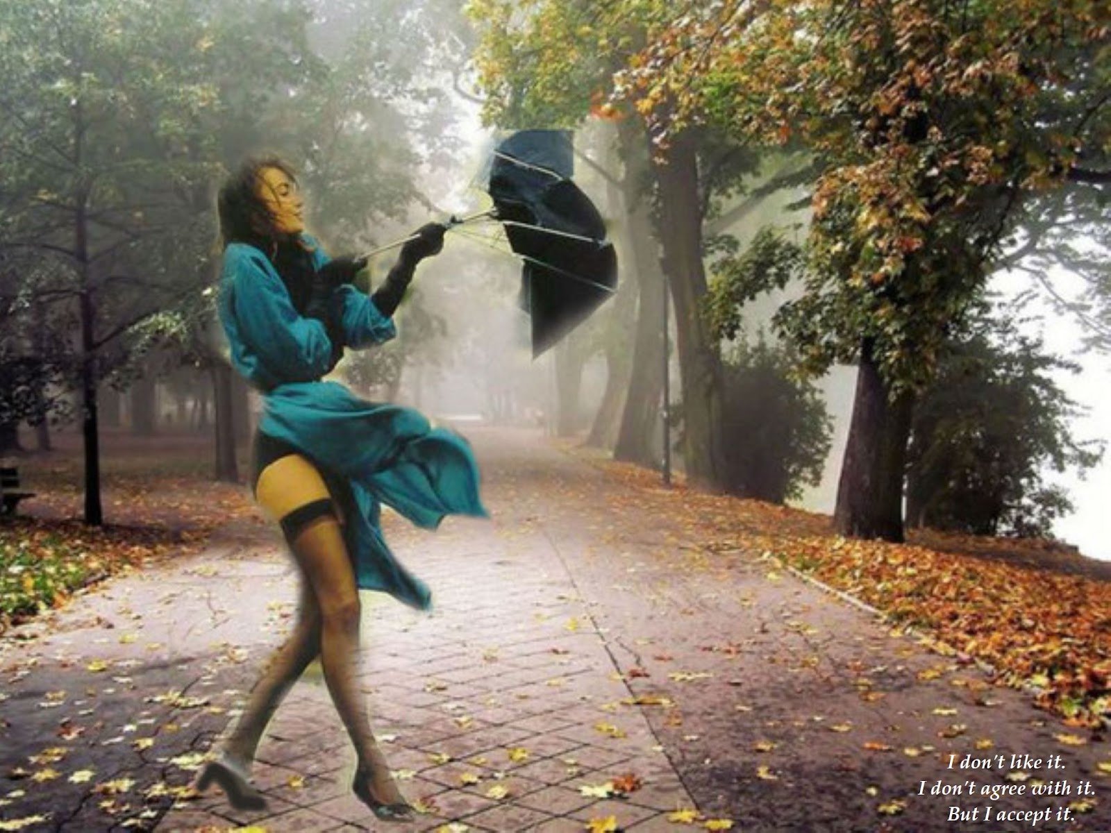 Дул не сильный но холодный ветер. Девушка с зонтиком. Девушка с зонтиком на ветру. Девушка зонт ветер. Девушка под дождем ветер.