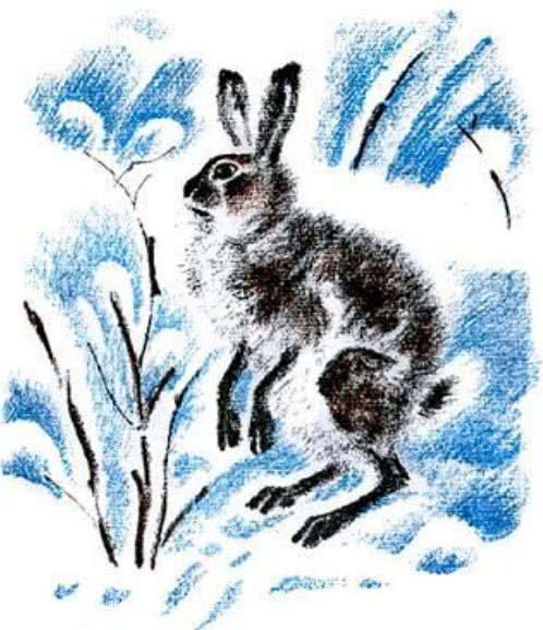 Виталий Бианки Снежная книга иллюстрации