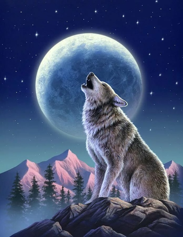 Волк воет на луну — раскраска