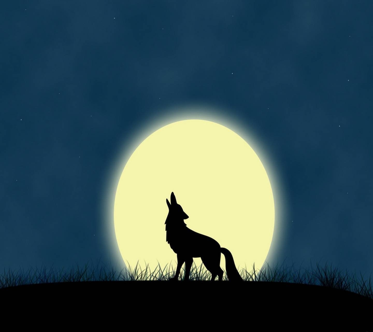 Силуэт волка на фоне Луны. Белый волк воет на луну. Силуэт волка воющего на луну. Пес воет на луну.