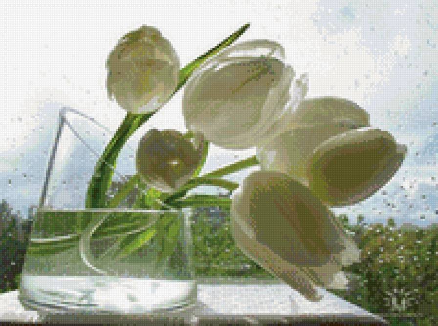 Как часто нужно менять воду тюльпанам. Белые тюльпаны. Ваза с белыми тюльпанами. Тюльпаны в круглой вазе.