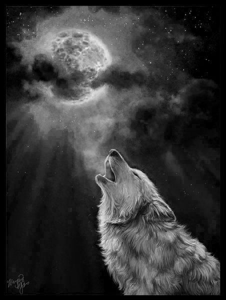 Картинки волк воющий на луну тату (64 фото)