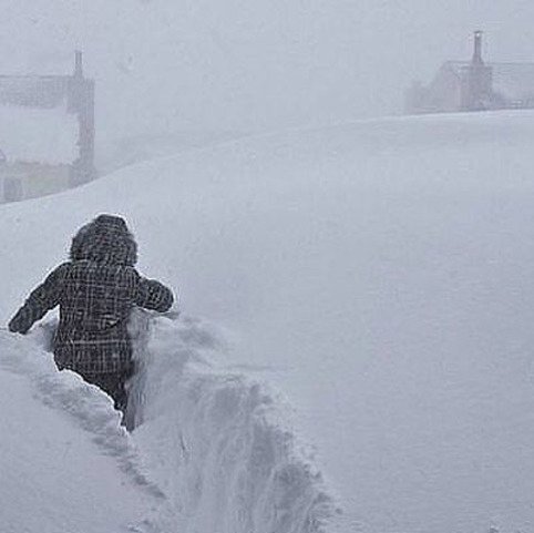 По пояс в снегу