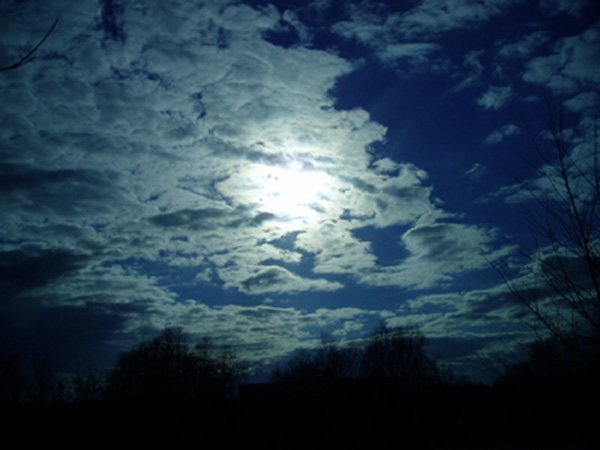 Волнистые туманы