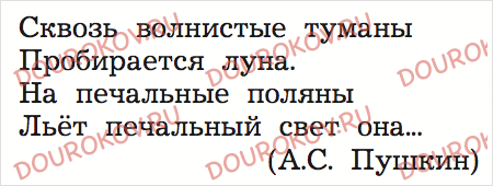 Сквозь волнистые туманы пробирается Луна размер стиха