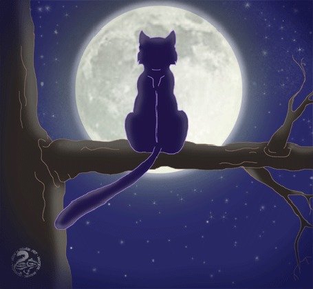 Кот на дереве и Луна