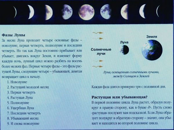 Растущая Луна полнолуние убывающая Луна