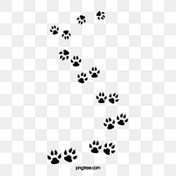 Отпечаток лапки мышки