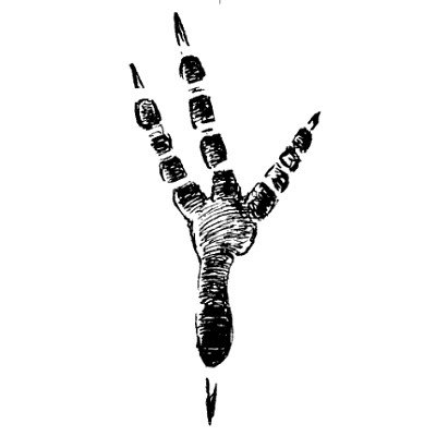 Следы дятла