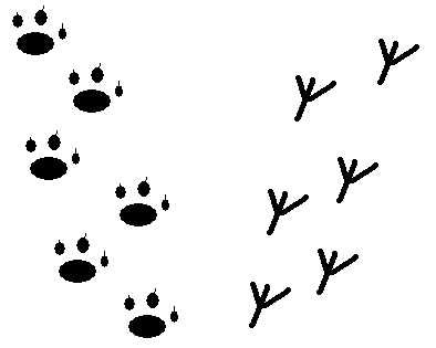 Следы на снегу