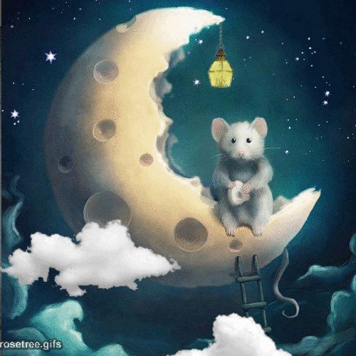 Доброй ночи мышки