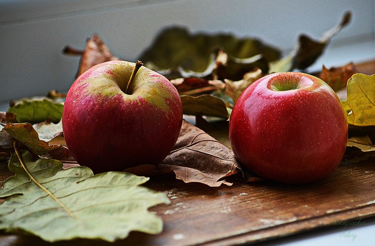 Флера яблоки. Красные осенние яблоки сорта. Осень яблоки. Красивое яблоко. Лист яблока.
