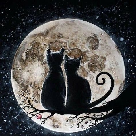 Коты на фоне Луны