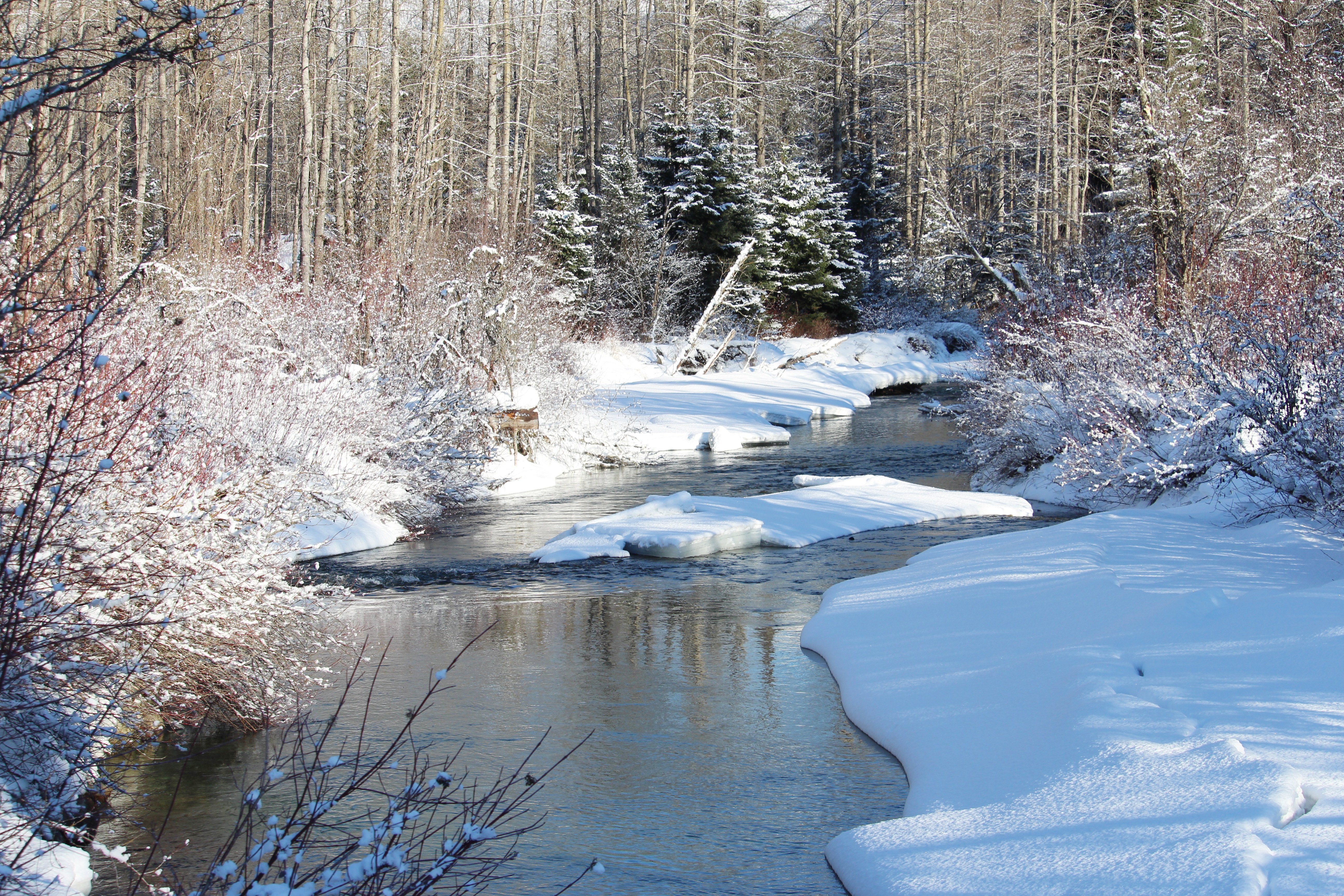 Река снежный сугроб. Ручей Зимчуруд. Зимний ручей. Весенние ручьи.