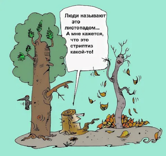 Карикатура осень