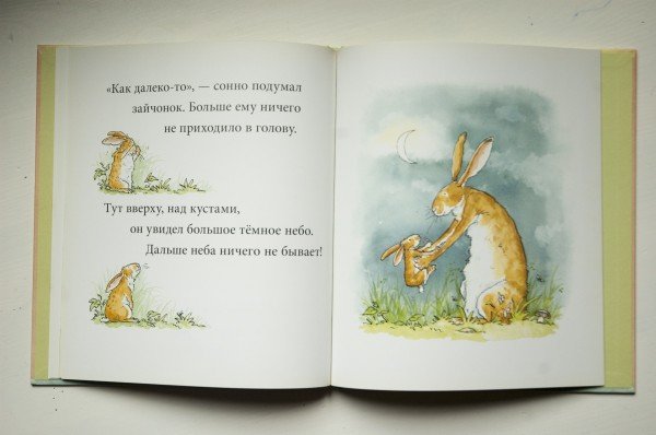 Я люблю тебя до Луны и обратно стих