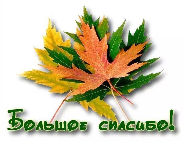 Открытки спасибо осенние