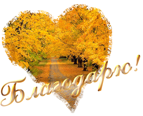 Осеннее спасибо