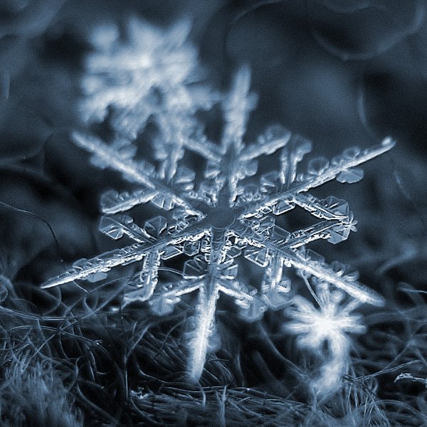 Снежинка вприблежении