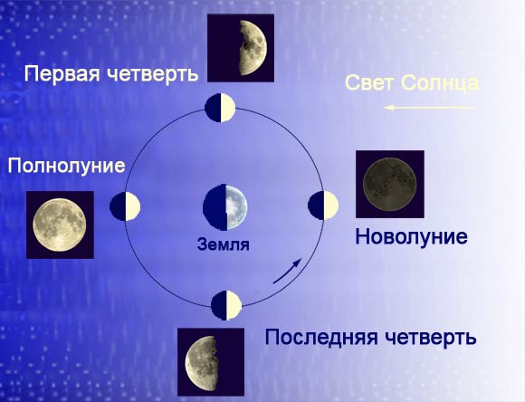 Фаза Луны первая четверть