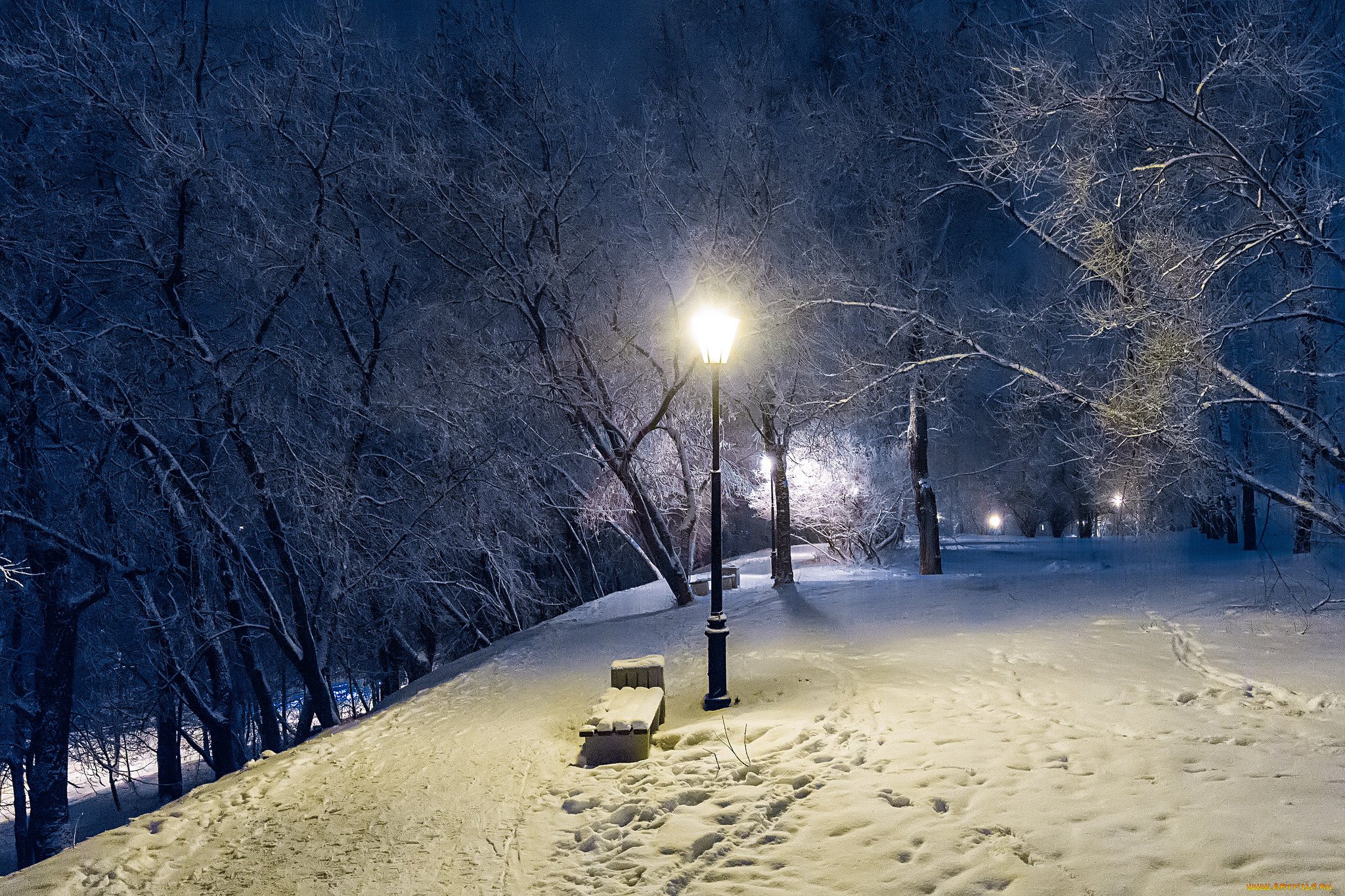 Зимняя ночь. Зимний вечер. Зима. К вечеру. Зимний парк. Заснеженный парк вечером.