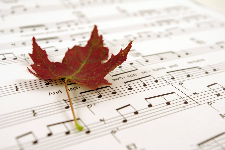 Музыка осени слушать. Музыкальная осень. Осенние нотки. Что такое осень Ноты. Мелодии осени.
