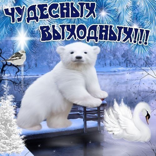 Удачных выходных и отличного настроения зимние
